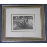 FRAMED NATURAL HISTORY SCENE WITH GAZELLES, LION,