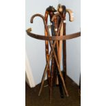 Ten assorted walking sticks including a horn-handled example, another inlaid, one dogs head