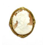 A shell cameo depicting a maiden in a yellow metal frame, measures 6.4cm by 5.5cm . Gross weight