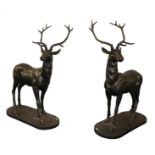 A large pair of patinated metal models of stags, each 103cm by 148cm
