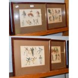 After Henry Alken, eight framed caricature pictures entitled 'Symptoms'