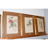 After John Gould, three hand-embellished ornithological prints, 50cm by 30.5cm (3)