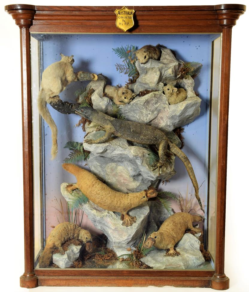 Taxidermy: A Large Cased Diorama of Australian Mammals and Reptile, circa 1876, Australia, by