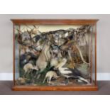 Taxidermy: A Monumental Cased Diorama of Australian Marsupials, Animals, Birds & Reptiles, circa