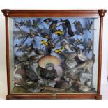 Taxidermy: A Large Cased Diorama of Birds & Reptiles Native to India, circa 1872, India, by Henry