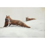 Charles Whymper (1853-1941) Foxes in the snow with their kill Signed, oil on canvas, 39cm by 59cm