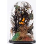 Taxidermy: A Victorian Diorama of Tropical Birds, circa 1880-1900, a collection of eight various