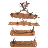 Antler Furniture: A Collection of Antler Coat Racks, comprising - a Fallow Deer antler mounted