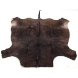 Hides/Skins: Cape Buffalo Skin Rug (Syncerus caffer caffer), modern, South Africa, adult tanned flat