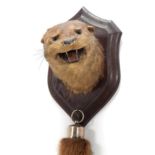 Taxidermy: European Otter (Lutra lutra), circa 1920-1930, by Henry Murray, Naturalist's &