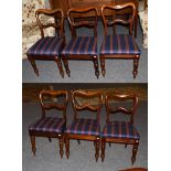 A set of six Victorian mahogany balloon back dining chairs, raised on turned supports
