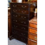 An early 20th century mahogany Wellington chest, 60cm by 41cm by 119cm high