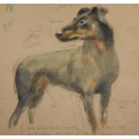 Harold Riley (b.1934) ''Manchester Terrier- Originally a Rat Catcher- now resides in the Kennel