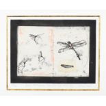 Victoria Crowe OBE, FRSE, RSA, RSW (B.1945) Scottish ''Drawn from Nature:- Crane Flies and