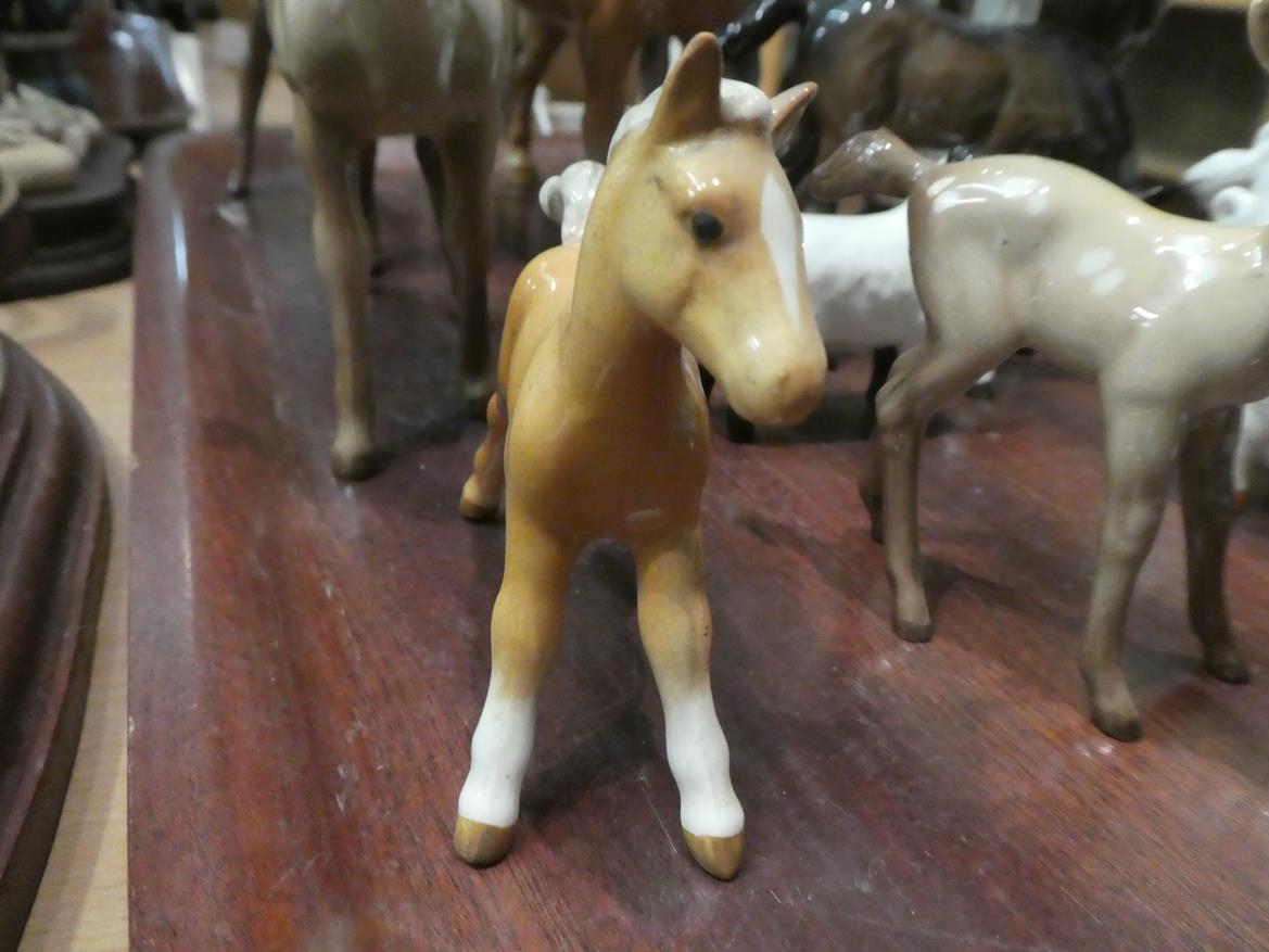 Beswick horses, pigs and deer including New Forest Pony, Palomino Cob and two foals, together with - Image 12 of 23