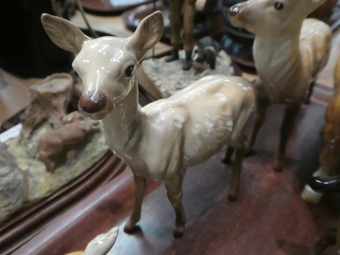 Beswick horses, pigs and deer including New Forest Pony, Palomino Cob and two foals, together with - Image 14 of 23