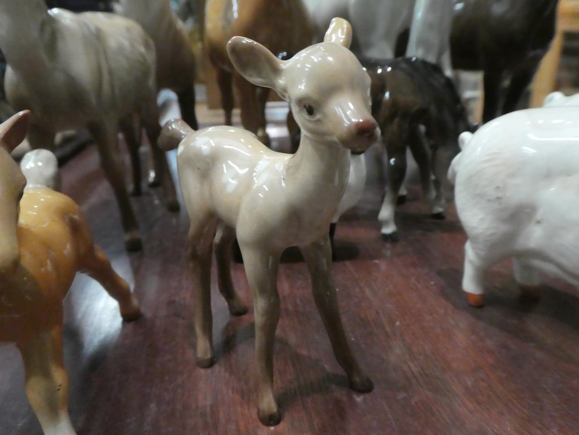 Beswick horses, pigs and deer including New Forest Pony, Palomino Cob and two foals, together with - Image 10 of 23