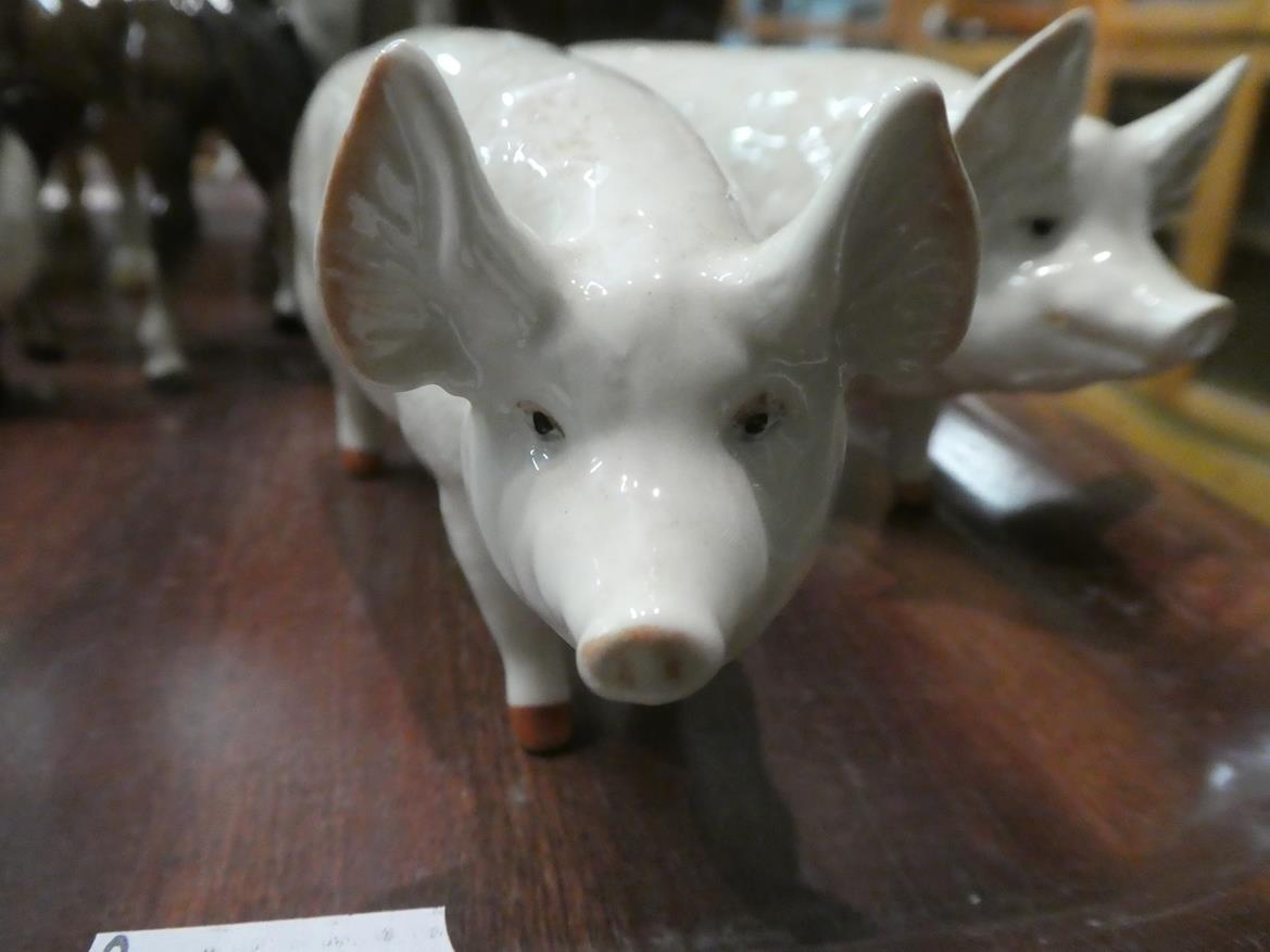 Beswick horses, pigs and deer including New Forest Pony, Palomino Cob and two foals, together with - Image 6 of 23