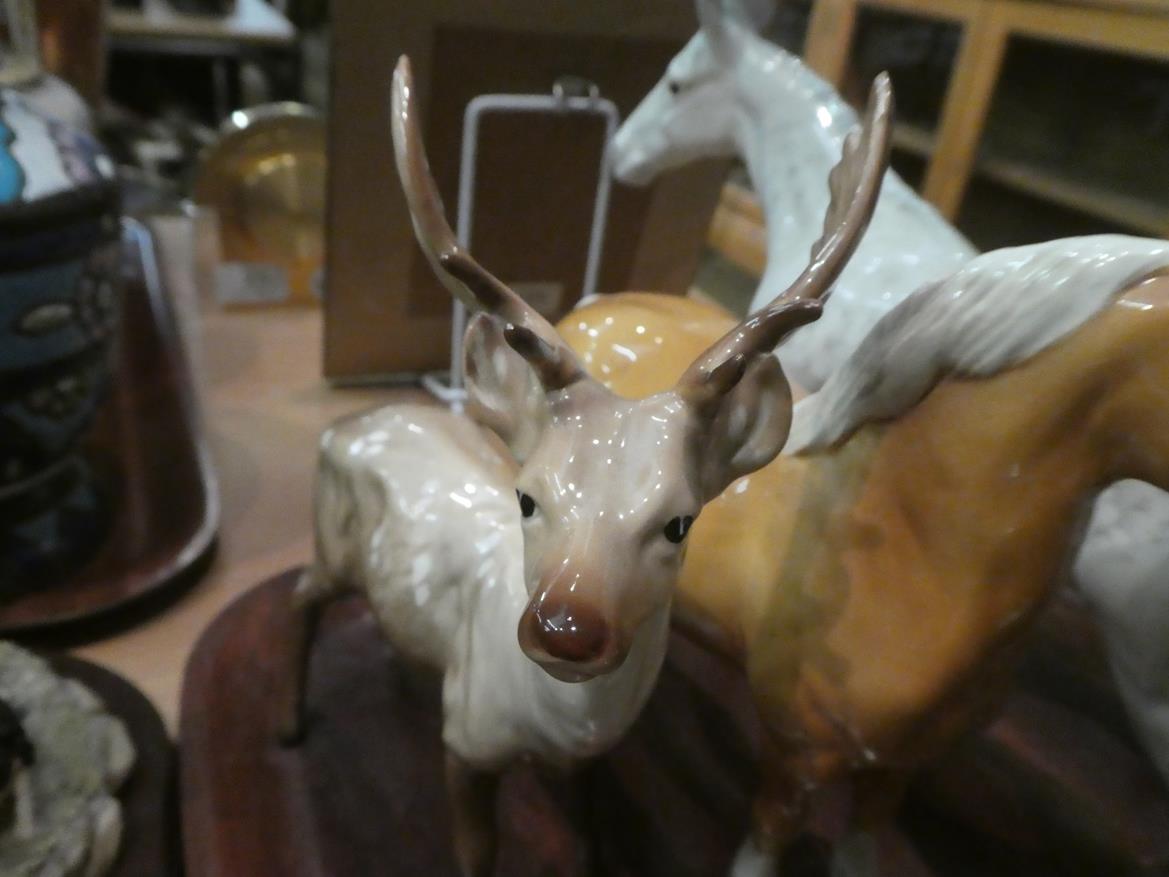 Beswick horses, pigs and deer including New Forest Pony, Palomino Cob and two foals, together with - Image 15 of 23