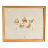 Mildred Eldridge (1909-1991) bird studies, signed watercolour and pencil, 16cm by 24cm, Artist's