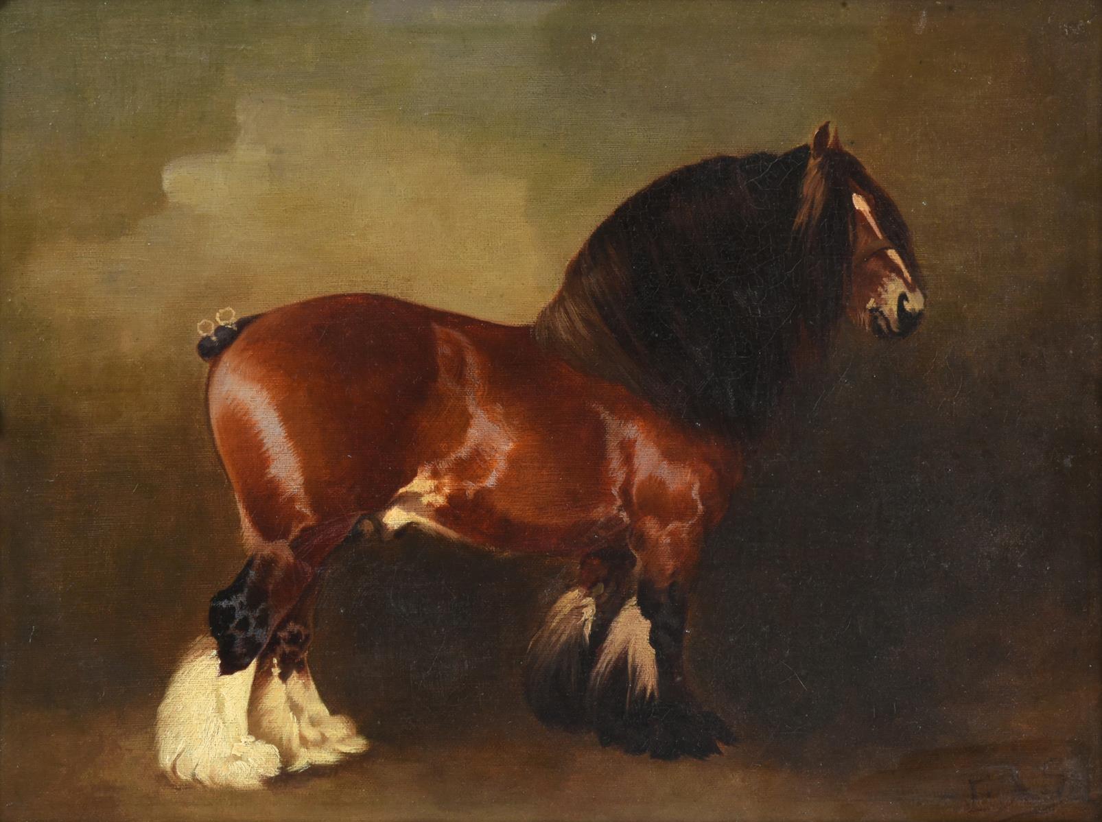 Attributed to Edith Anna Oenone Somerville (1858-1949) Portrait of a heavy horse standing Initialled