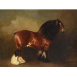 Attributed to Edith Anna Oenone Somerville (1858-1949) Portrait of a heavy horse standing Initialled