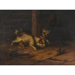 Attributed to George Armfield (1808-1893) Terriers ratting in a stable interior Oil on canvas, 43.