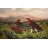 Benjamin (Lester) Hold (1839-1917) Grouse in a heather moorland Signed, oil on canvas, 48.5cm by