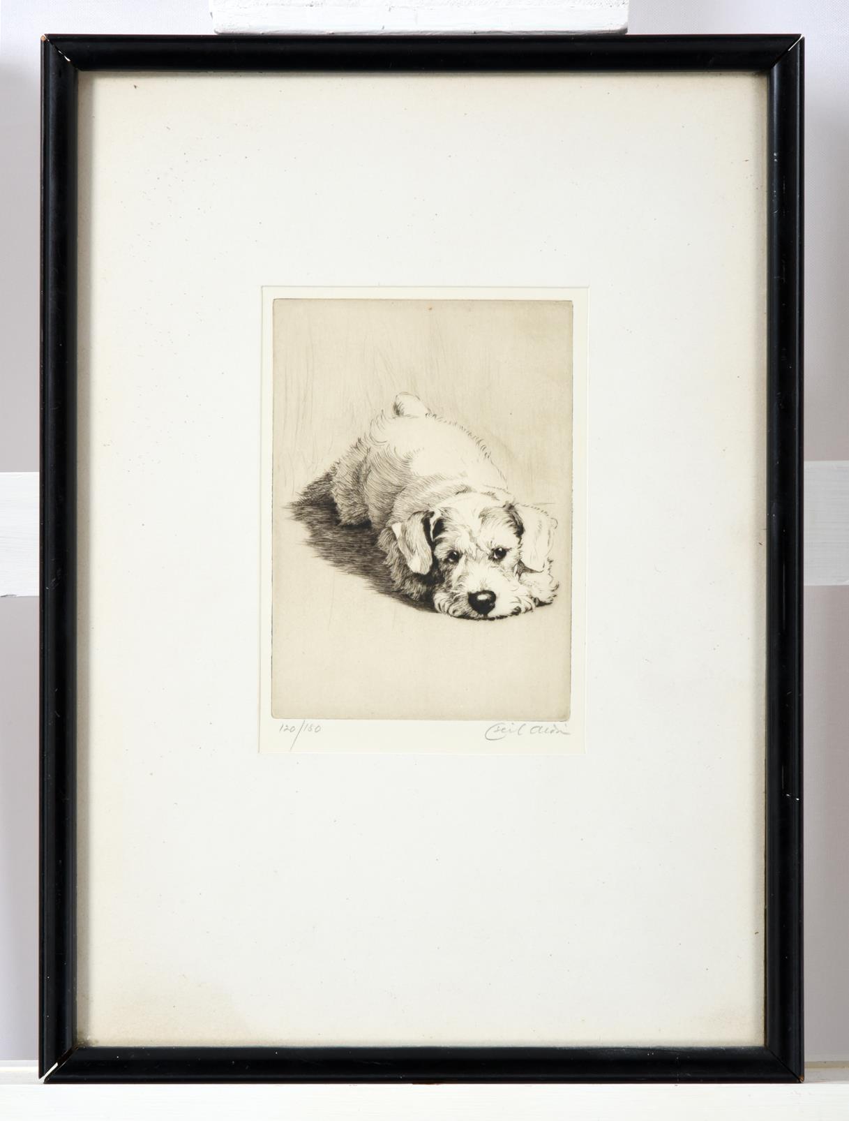 Cecil Charles Windsor Aldin (1870-1935) ''Sealyham Puppy'' Signed in pencil, numbered 120/180, a - Image 2 of 3