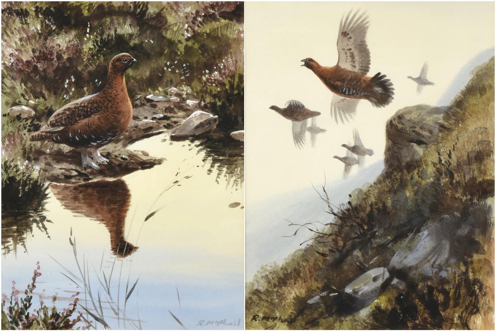 Rodger McPhail (b.1953) Covey of Grouse in flight Grouse in contemplation Signed, watercolour