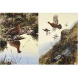 Rodger McPhail (b.1953) Covey of Grouse in flight Grouse in contemplation Signed, watercolour