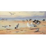 Archibald Thorburn FZS (1860-1935) ''Sea Birds'' Signed and dated 1908, watercolour, 54cm by 108cm