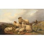 Circle of William Watson (19th century) Sheep and lambs at rest on a fell top Oil on canvas, 74.
