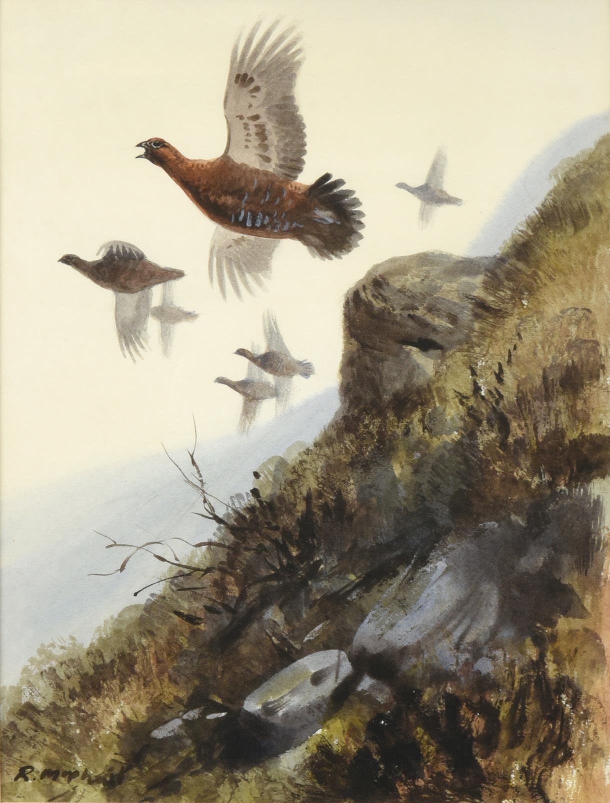 Rodger McPhail (b.1953) Covey of Grouse in flight Grouse in contemplation Signed, watercolour - Image 3 of 3