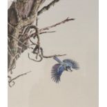 Alan M Hunt (b.1947) Bluetit in flight Signed and dated 1983, gouache, 33.5cm by 29cm Artist's