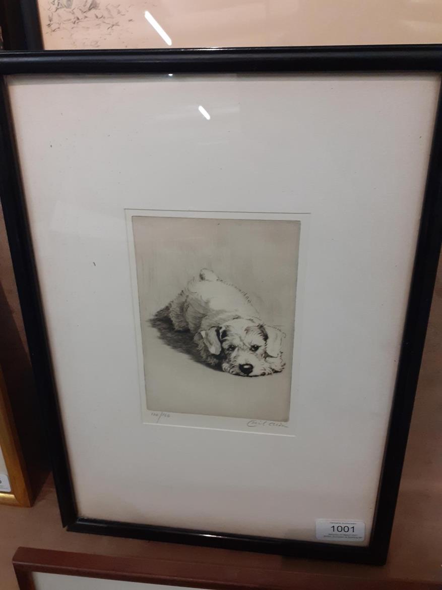Cecil Charles Windsor Aldin (1870-1935) ''Sealyham Puppy'' Signed in pencil, numbered 120/180, a - Image 3 of 3