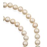 A South Sea Cultured Pearl Necklace, the forty uniform cultured pearls knotted to an oval 9 carat