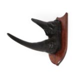 Horns: A Pair of Replica Rhinoceros Horns, circa mid-late 20th century, mounted upon a period