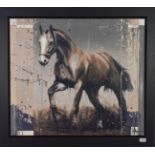 Kris Hardy (b.1978) ''Brown Horse II'' Signed, oil on canvas, 71cm by 81.5cm Artist's Resale