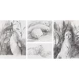 Gerry Jones (Contemporary) Study of seals Signed, pencil, together with 3 further seal studies by