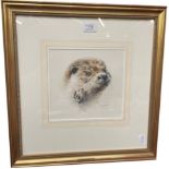 Mandy E Shepherd (b.1960) European Otter, signed watercolour, 20cm by 20cm Artist's Resale Rights/