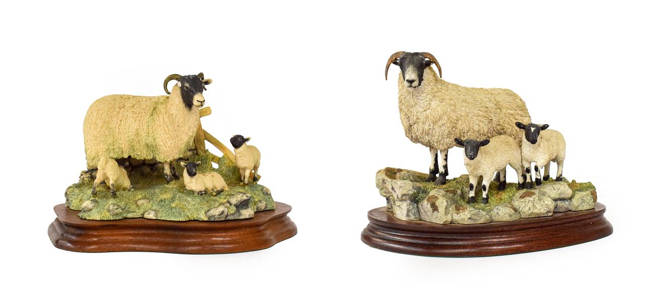 Border Fine Arts 'Blackie Ewe and Lambs', model No. B0887, limited edition 295/1250, together