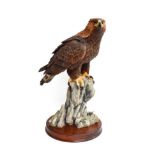 Border Fine Arts 'Master Of The Skies' (Golden Eagle), model No. B0529 by Richard Roberts, limited