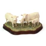 Border Fine Arts 'Charolais Family Group', model No. B0184 by Kirsty Armstrong, limited edition