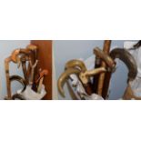 A quantity of walking sticks and canes (17)