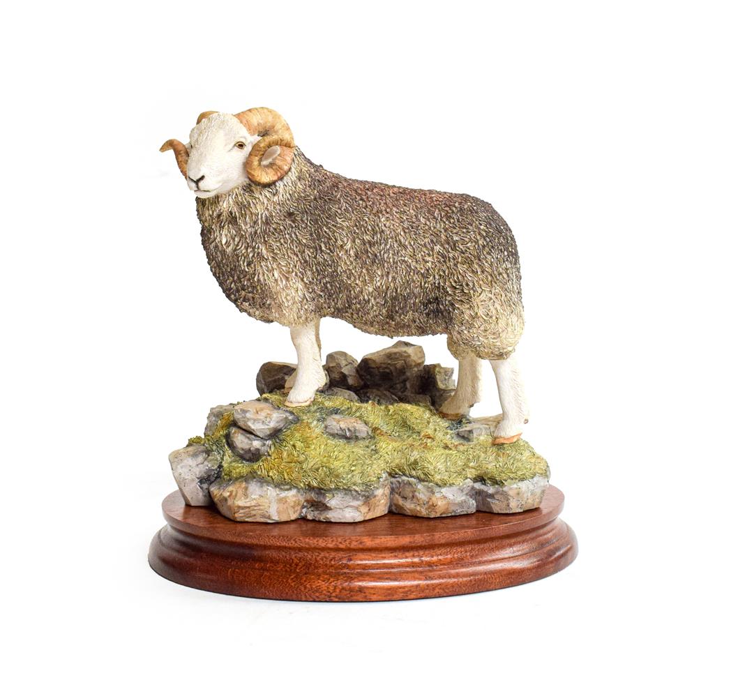 Border Fine Arts 'Herdwick Tup', model No. B0705 by Ray Ayres, limited edition 291/750, on wood