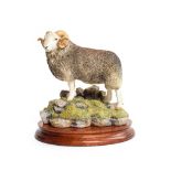 Border Fine Arts 'Herdwick Tup', model No. B0705 by Ray Ayres, limited edition 291/750, on wood