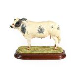 Border Fine Arts 'Belgian Blue Bull' (Style One), model No. B0406 by Ray Ayres, limited edition