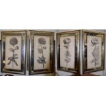 A set of four John-Richard botanical furnishing prints within mirrored and silvered frames 72cm by