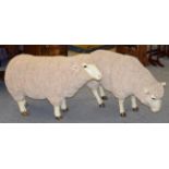 A pair of fibreglass models of sheep